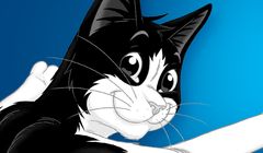 „Wszechkoty” w promocji Purina Felix