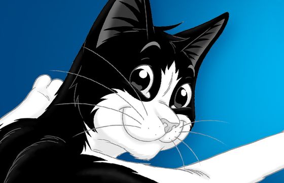 „Wszechkoty” w promocji Purina Felix