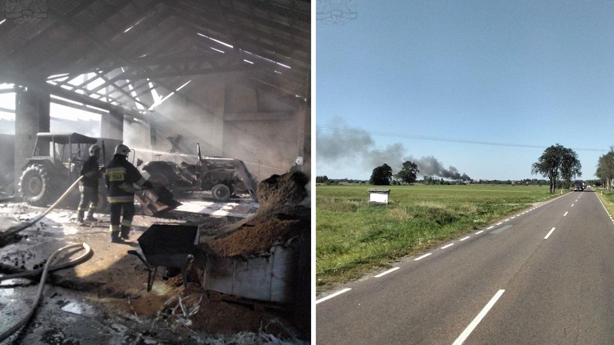 Krowy spłonęły żywcem. Ogromny pożar na Lubelszczyźnie