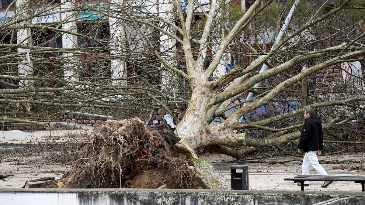 Orkan powoduje potężne zniszczenia w Portugalii 