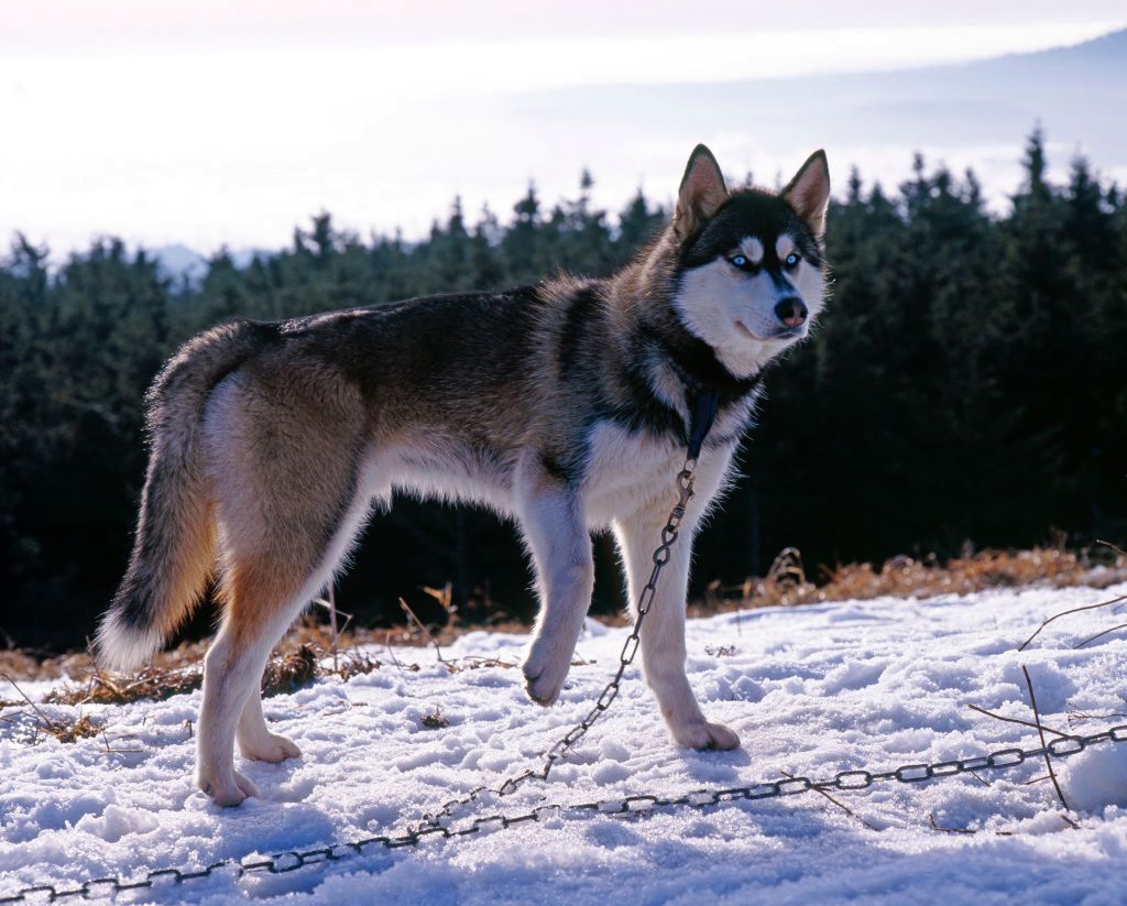 Zdjęcie ilustracyjne