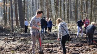 Lubartów: "Posadź swoje drzewo". Nadleśnictwo zaprasza do wspólnego sadzenia lasu
