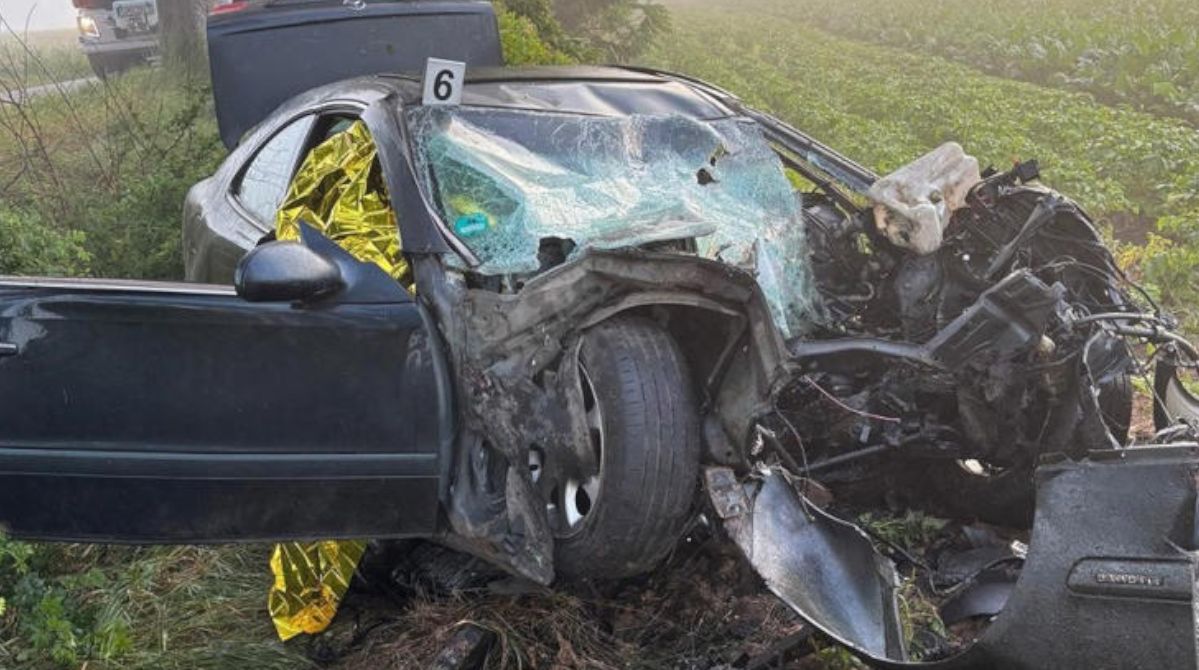 Tragedia pod Malborkiem. Od uderzenia w drzewo zginęły dwie osoby