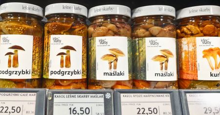 Na lotnisku znalazłam suszone grzyby. Uwagę od razu zwróciła cena