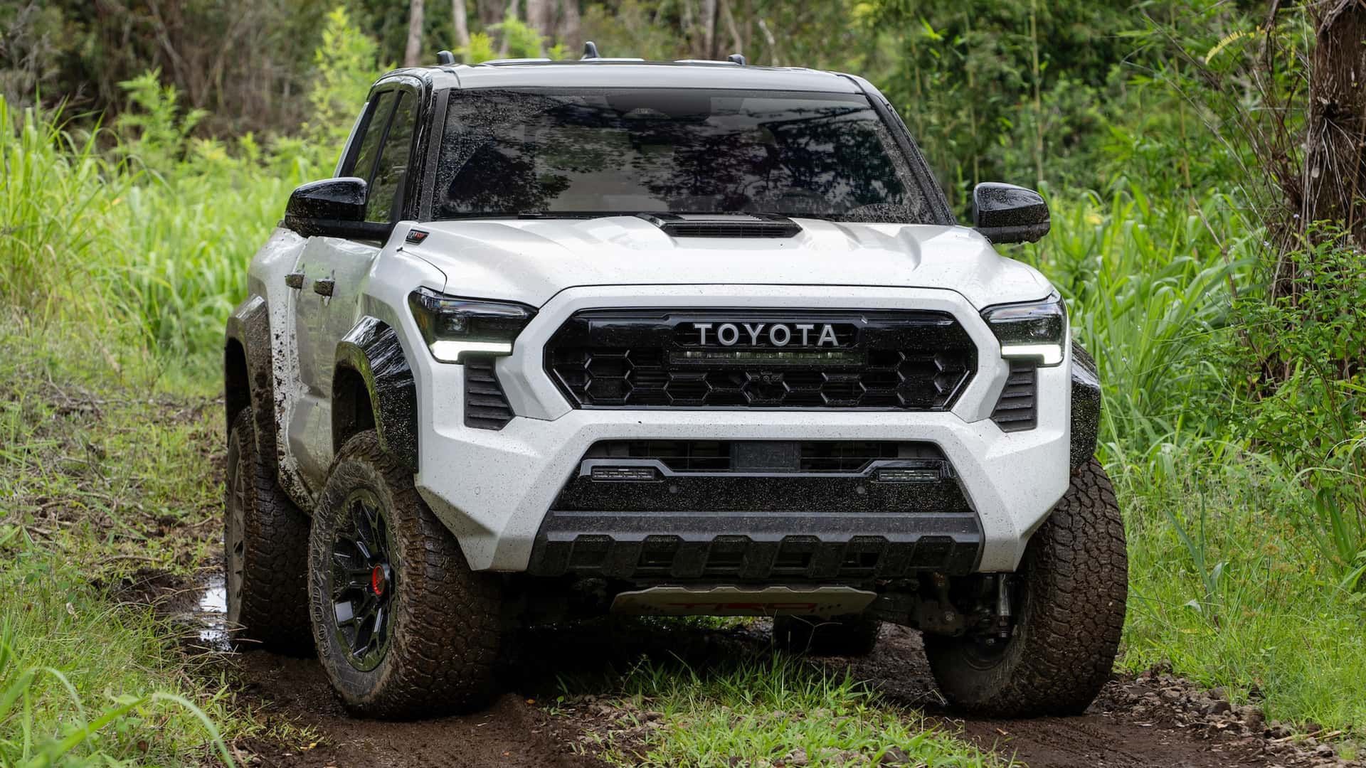 Nowa Toyota Tacoma
