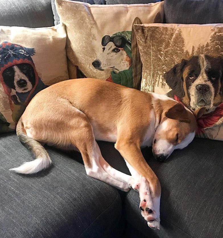 Tak mieszkają Aleksandra Kwaśniewska i Kuba Badach