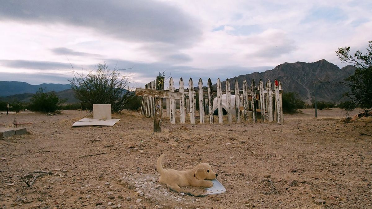Prawdziwy ”Smętarz dla zwierzaków” istnieje. Jest tak straszny, jak u Kinga 1