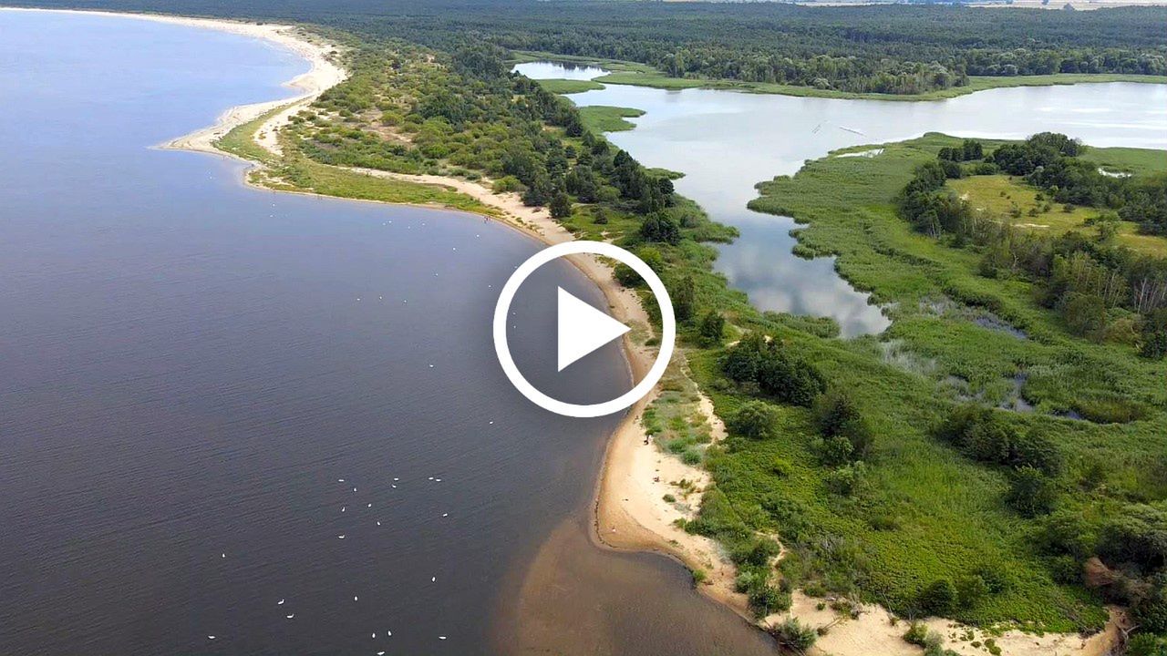 Fot. Licencjodawca. Z promu w Mikoszewie na plażę. Jak dojechać? [WIDEO]