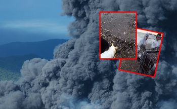 Katastrofa się potwierdza. Porażające nagrania z Rosji