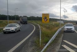 Bielsko-Biała. Walka z bezmyślnością za pomocą tablic