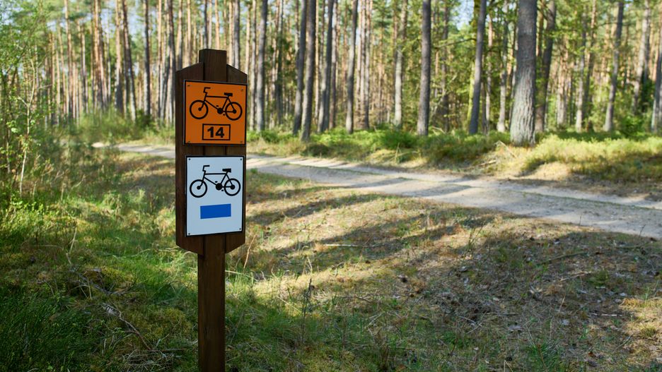 Najlepsze trasy rowerowe