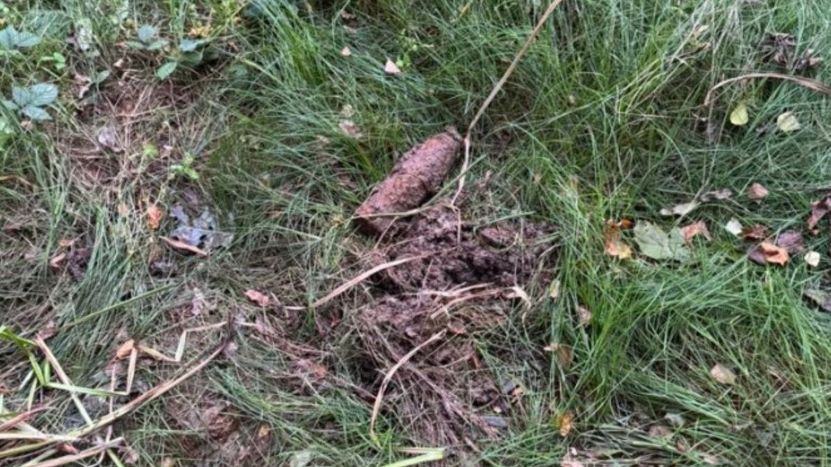 Przypadkiem znalazł to spacerowicz 