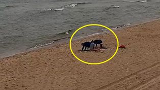 Piątek, godzina 8:35. Na plaży w Grzybowie taki widok