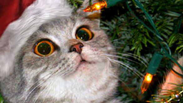 10 rzeczy, których nie wiedzieliście o świętach w Polsce 1