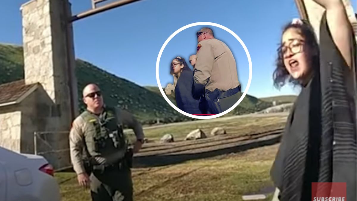 Aresztowana aktywistka / Zrzut ekranu @New York Post