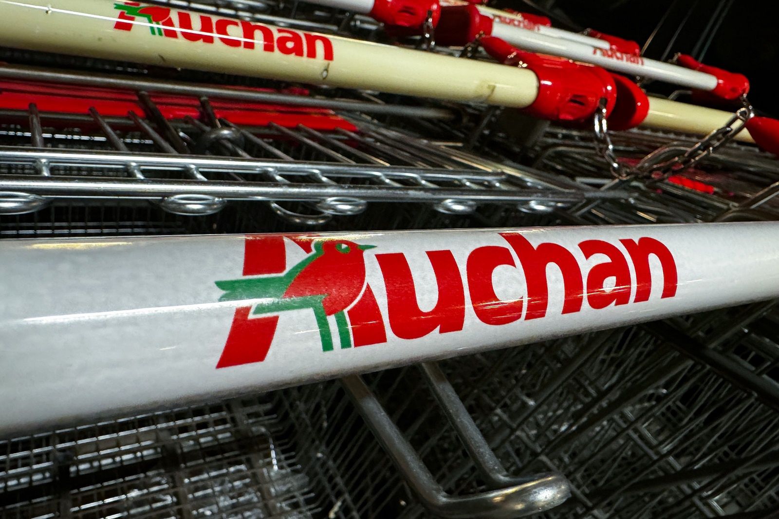 17 października się zacznie. Auchan obniża ceny na chryzantemy i znicze