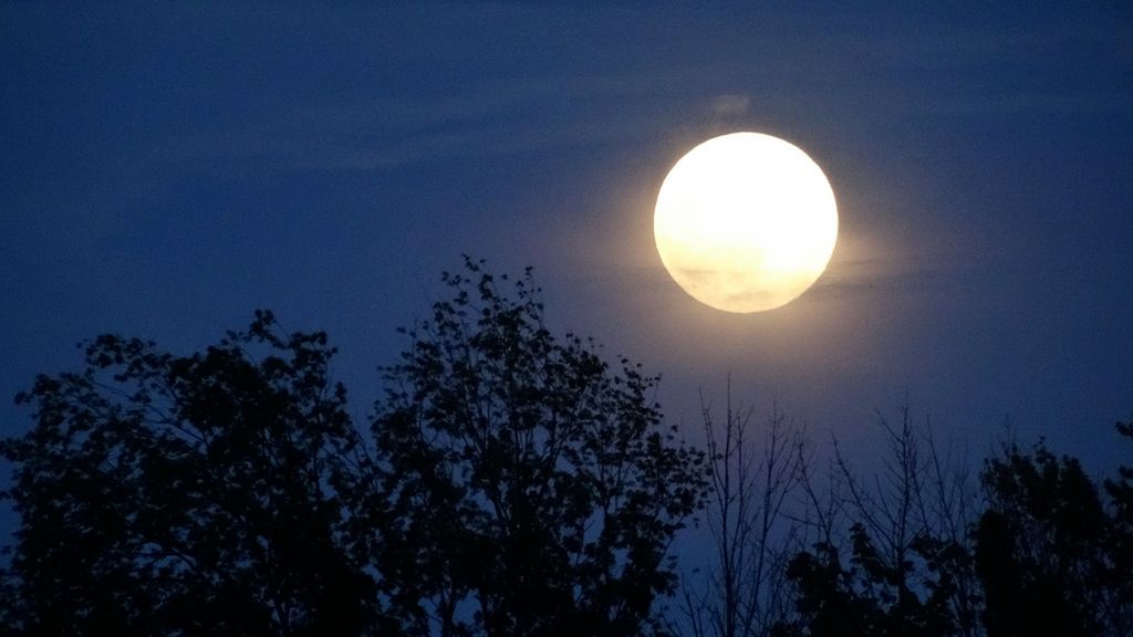 Księżyc Plonów – wrzesień 2019. Sprawdź, co to za zjawisko astronomiczne i kiedy dokładnie wypada pełnia