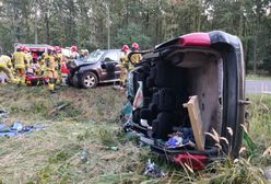 Groźny wypadek pod Poznaniem. Auto wjechało w jelenia, potem doszło do "czołówki"