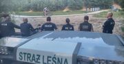 Ludzie myśleli, że to pokazówka. Leśnicy: "Posypały się mandaty"