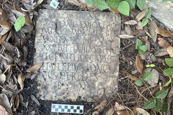 Nie wiedzieli, co mają w ogródku. Sensacyjne odkrycie w Nowym Orleanie