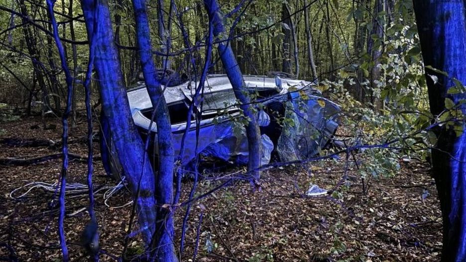 Auto dachowało w lesie