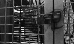 Bezimienne groby z pomarańczowej ziemi