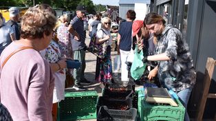 Piątek na targowisku w Koszalinie. Piękna pogoda przyciągnęła tłumy [ZDJĘCIA]