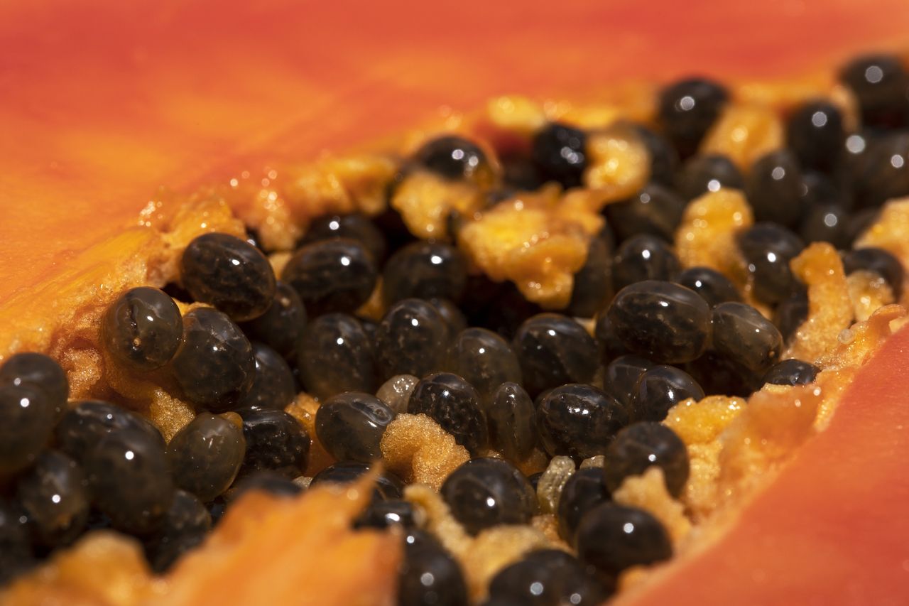 Wspiera wzrok, chroni przed kurzą ślepotą. Najlepszy owoc