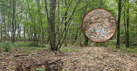 Niepokojący widok w lesie. Niszczą teren pochodzący z XIII wieku