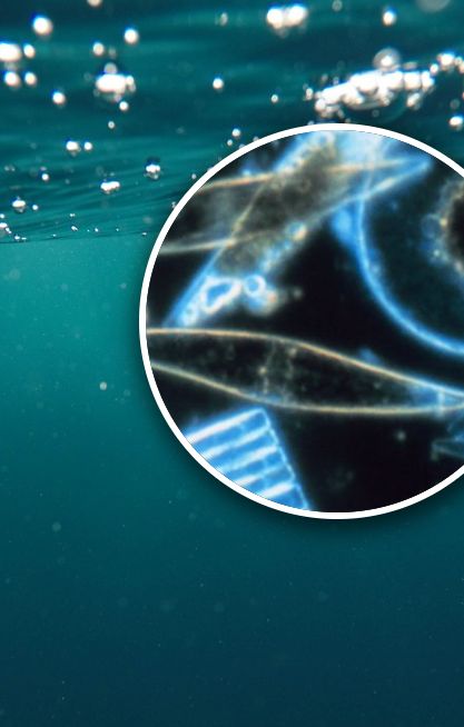 Barwa tej wody jest wyjątkowa. Zawdzięcza to mikroorganizmom