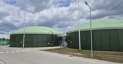 Neo Bio Energy wchodzi do Niemiec. Rusza z inwestycjami w biogaz i biometan