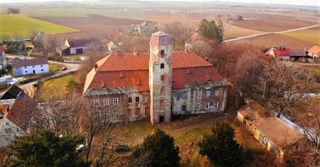 Pałac wystawiony na sprzedaż. Cena robi wrażenie