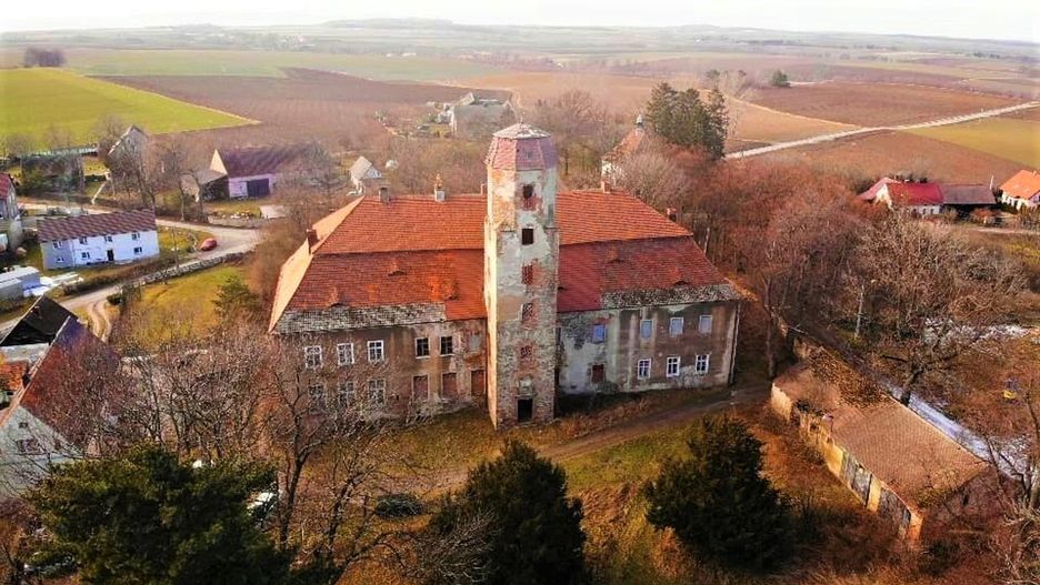 Pałac w Służejowie