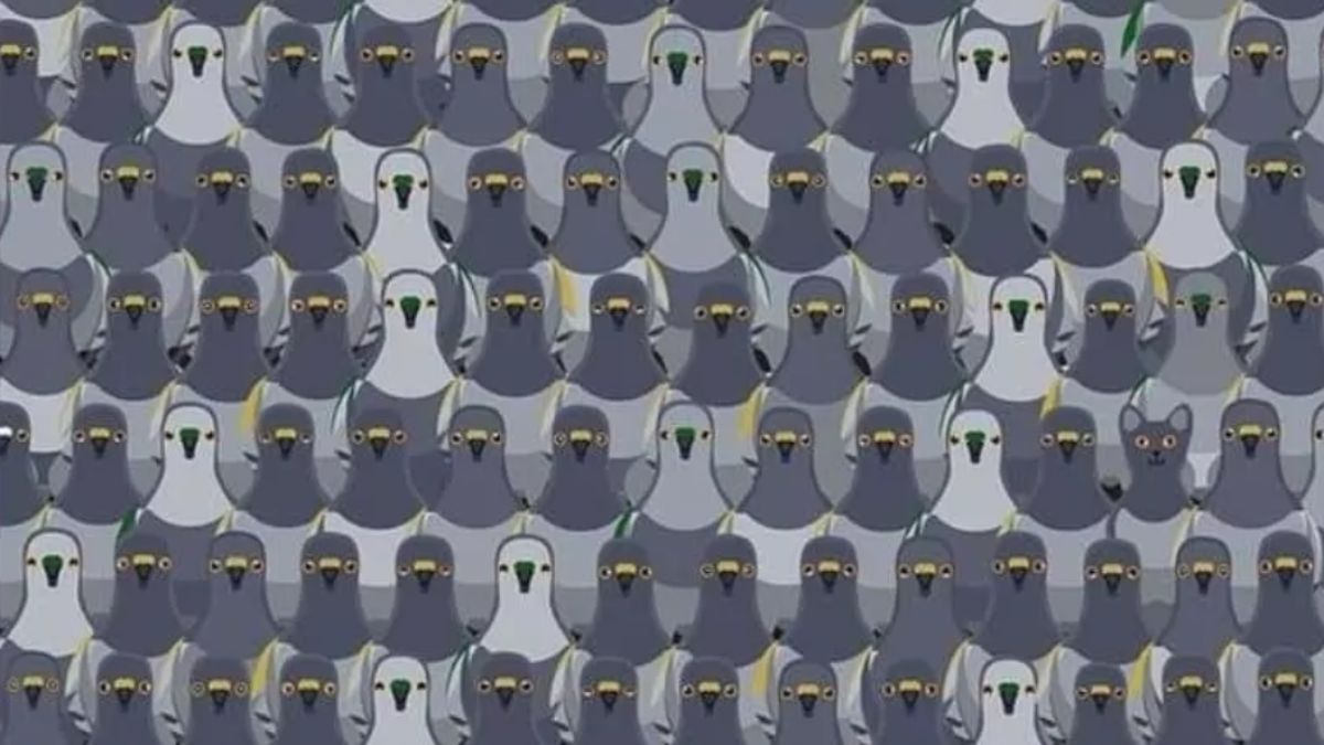 Znajdź kota w ciągu siedmiu sekund. Tylko 5 proc. ludzi potrafi to zrobić