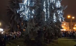 "Ale wstyd". Odpalili choinkę. Taki widok na Mazowszu