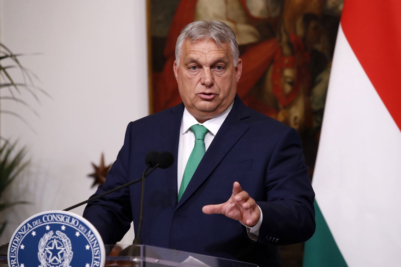 Orban's unofficial visit: Georgia's political crossroads