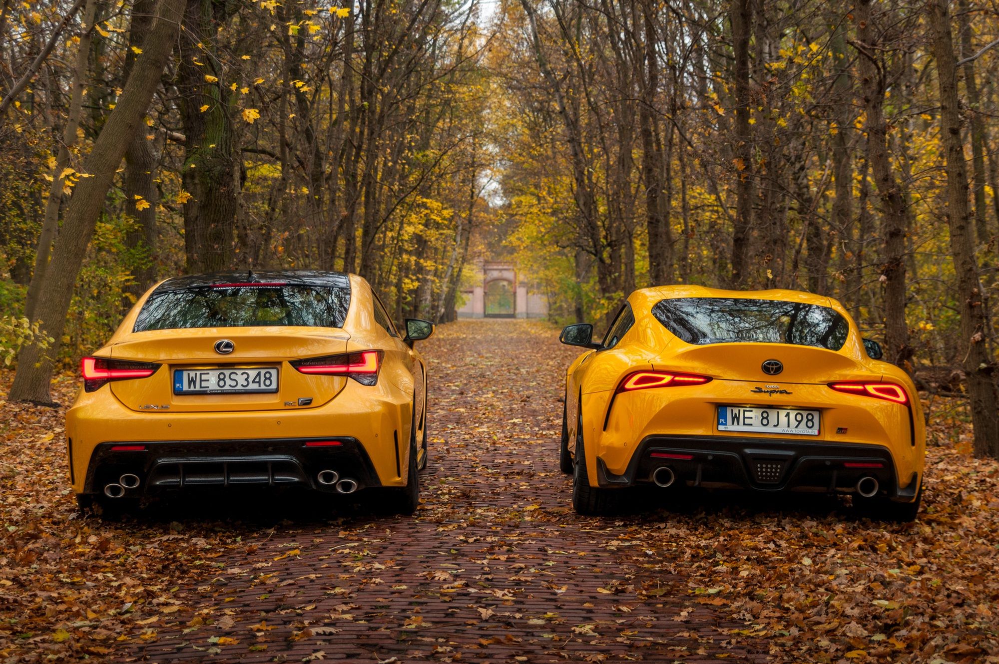 Lexus RC F vs. Toyota GR Supra