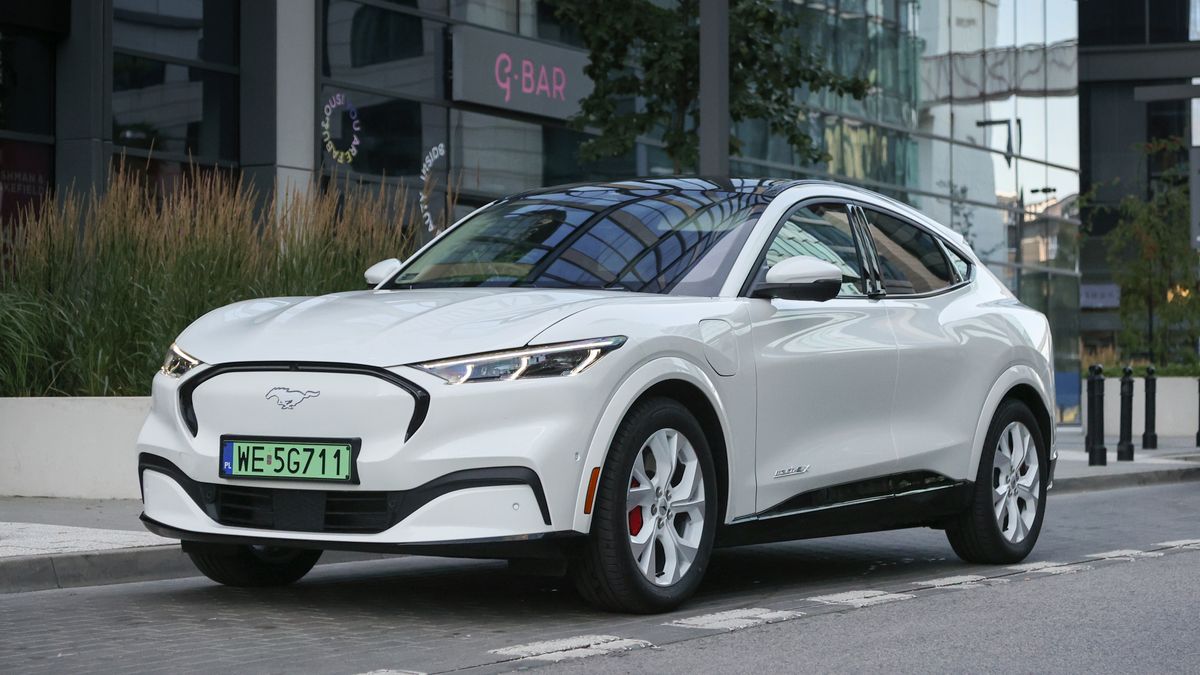 Zdjęcie ilustracyjne do artykułu