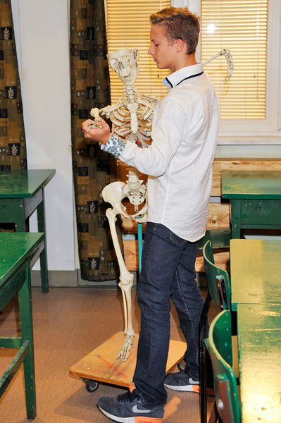 Obraz