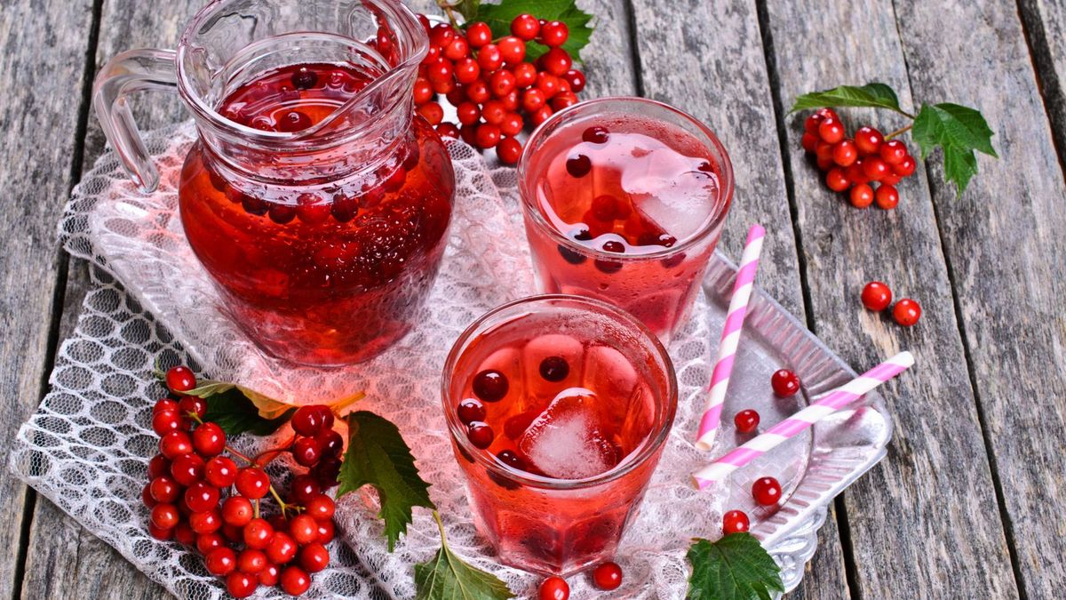 Lecznicze właściwości soku z kaliny