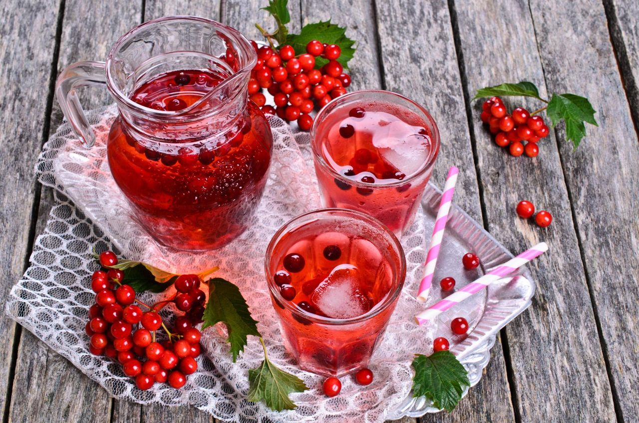 Kalina - układ pokarmowy, właściwości owoców, zbiór, przepis na sok, na bóle miesiączkowe i w ciąży