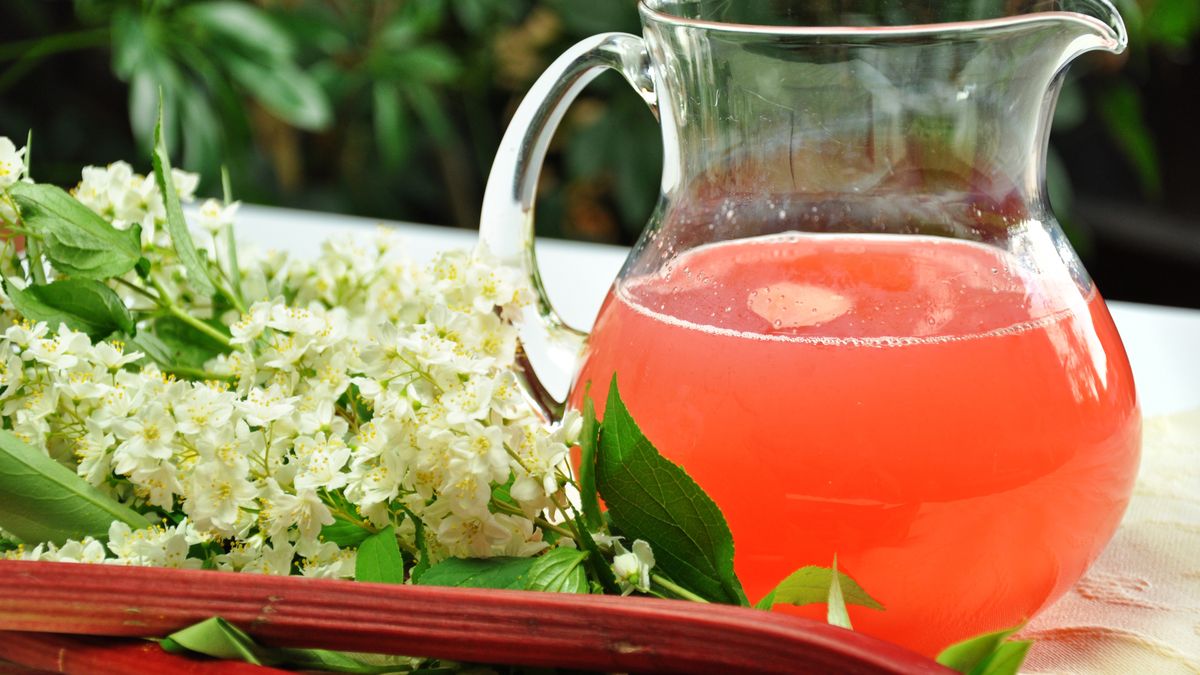 Kompot z rabarbaru jest idealny na upały. 