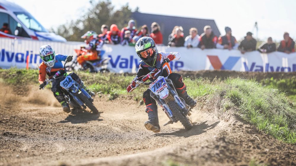 Materiały prasowe / materiały partnera