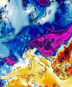 Pogoda. Atak zimy w maju. Na trzech zimnych ogrodników przewidywany jest śnieg