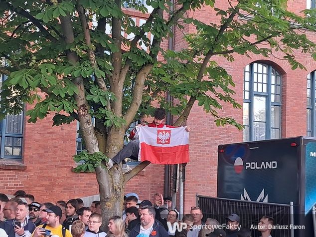 Kibic, który czekał na reprezentację Polski... na drzewie