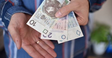 Zarobki od 8 do 13 tys. zł. Najwyższe widełki wynagrodzeń