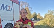 Nietypowa interwencja w Ślesinie. Pies wydobyty z przepustu