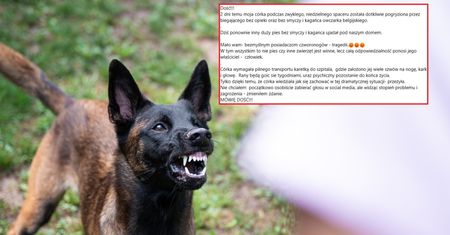 Agresywny pies pogryzł nastolatkę. Dramatyczne wyznanie jej ojca