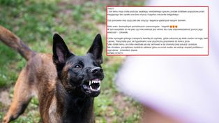 Agresywny pies pogryzł nastolatkę. Dramatyczne wyznanie jej ojca