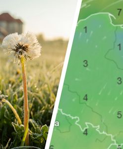 Nadciąga arktyczny powiew. Wiemy, gdzie będzie najzimniej